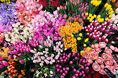 E3：三十周年纪念作《超级机器人大战30》年内发售