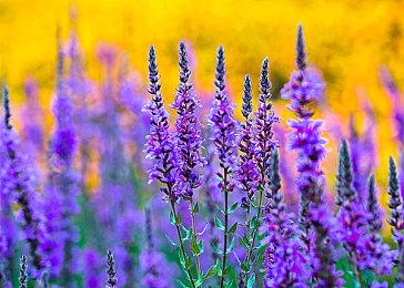 《英雄不再3》开发商疑似正开发恐怖游戏新作